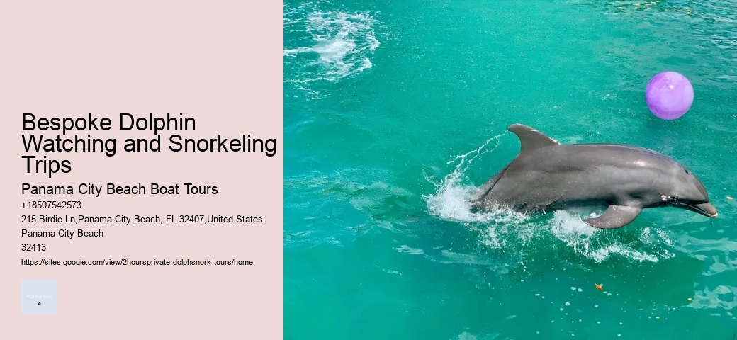 What Do You Wear On A Dolphin Boat Trip