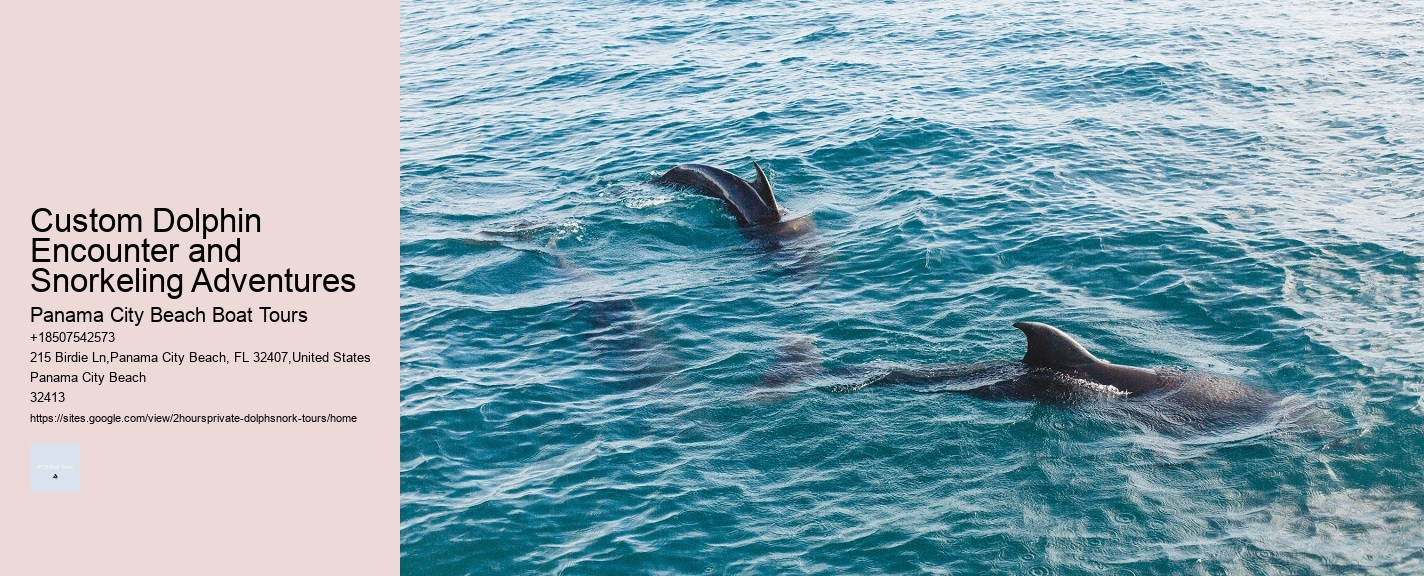 Custom Dolphin Encounter and Snorkeling Adventures