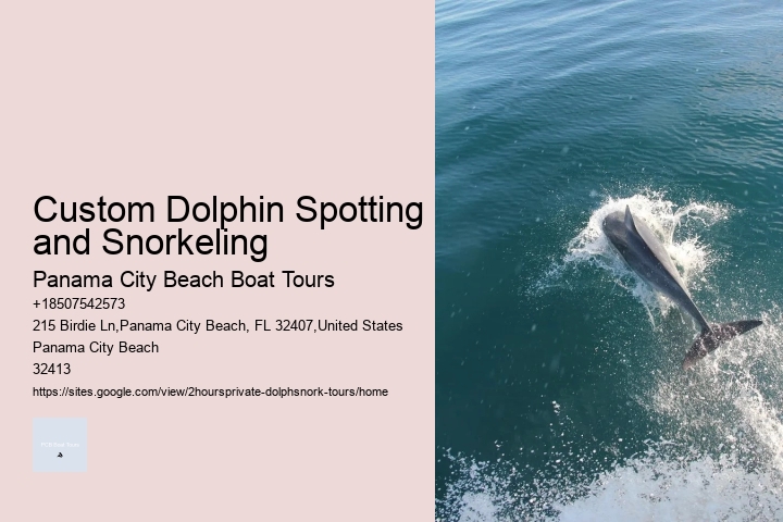 Dolphin Tours Victoria