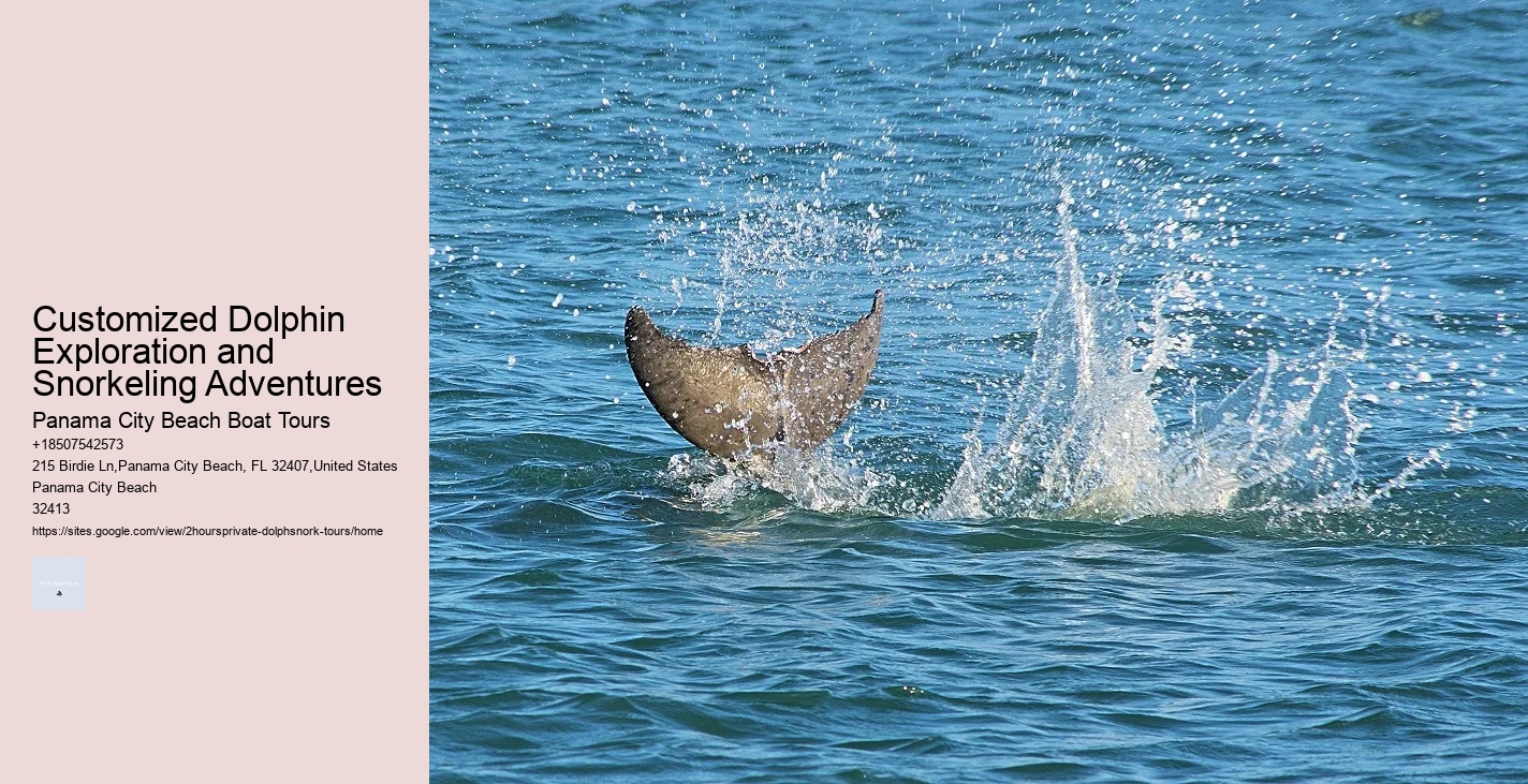 Exclusive Dolphin Exploration with Snorkeling