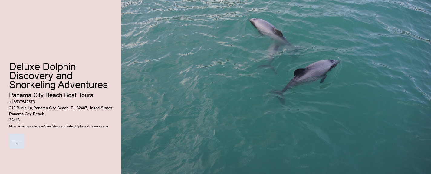 Dolphin Tours Fort Lauderdale
