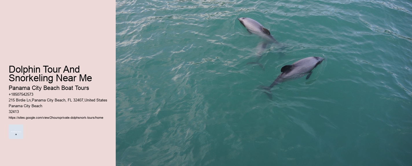 Bespoke Dolphin Watching and Snorkeling Trips