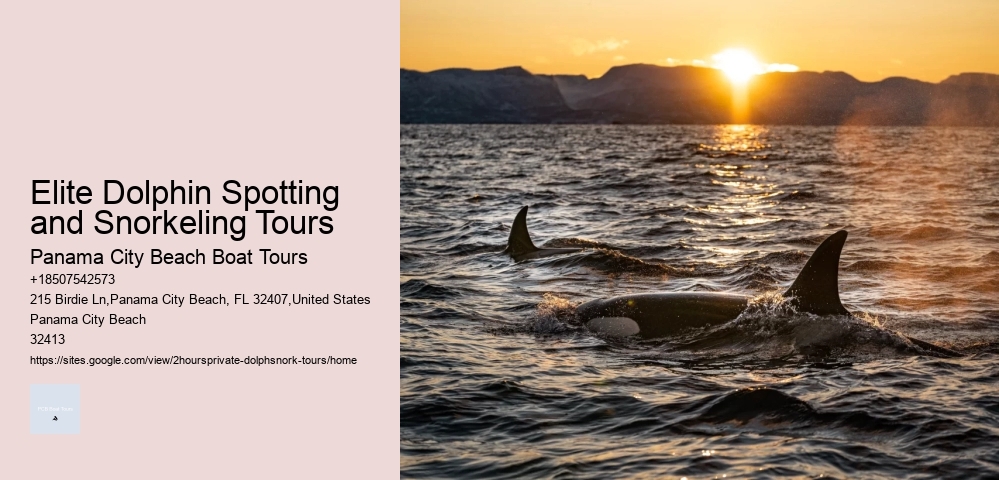 Dolphin And Snorkel Tours Destin