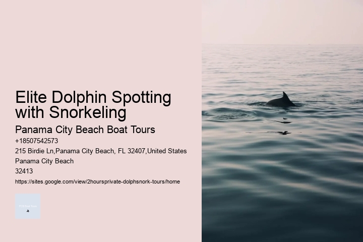 Jekyll Island Dolphin Tours Coupon