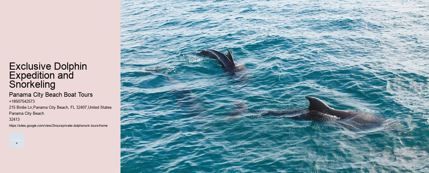 Exclusive Dolphin Expedition and Snorkeling
