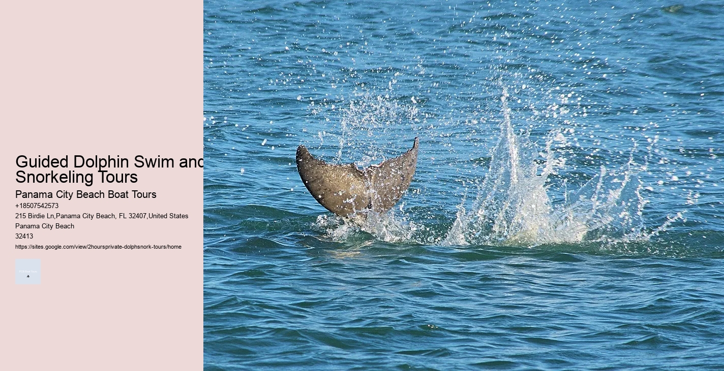 Harbor Star Dolphin Tours