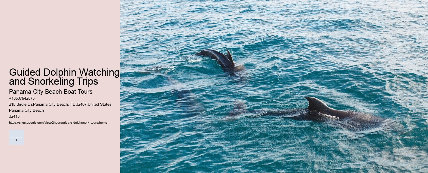 Guided Dolphin Watching and Snorkeling Trips