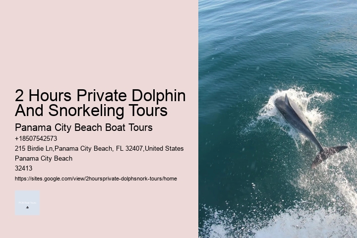 Wicked Dolphin Tours