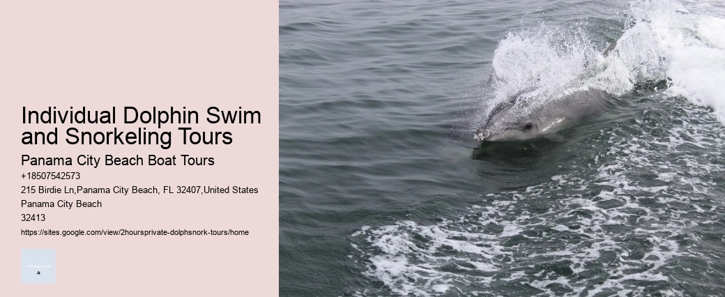 Dolphin Tours Orange Beach Al