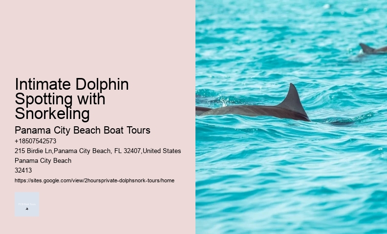 What Is The Dolphin Capital Of The World