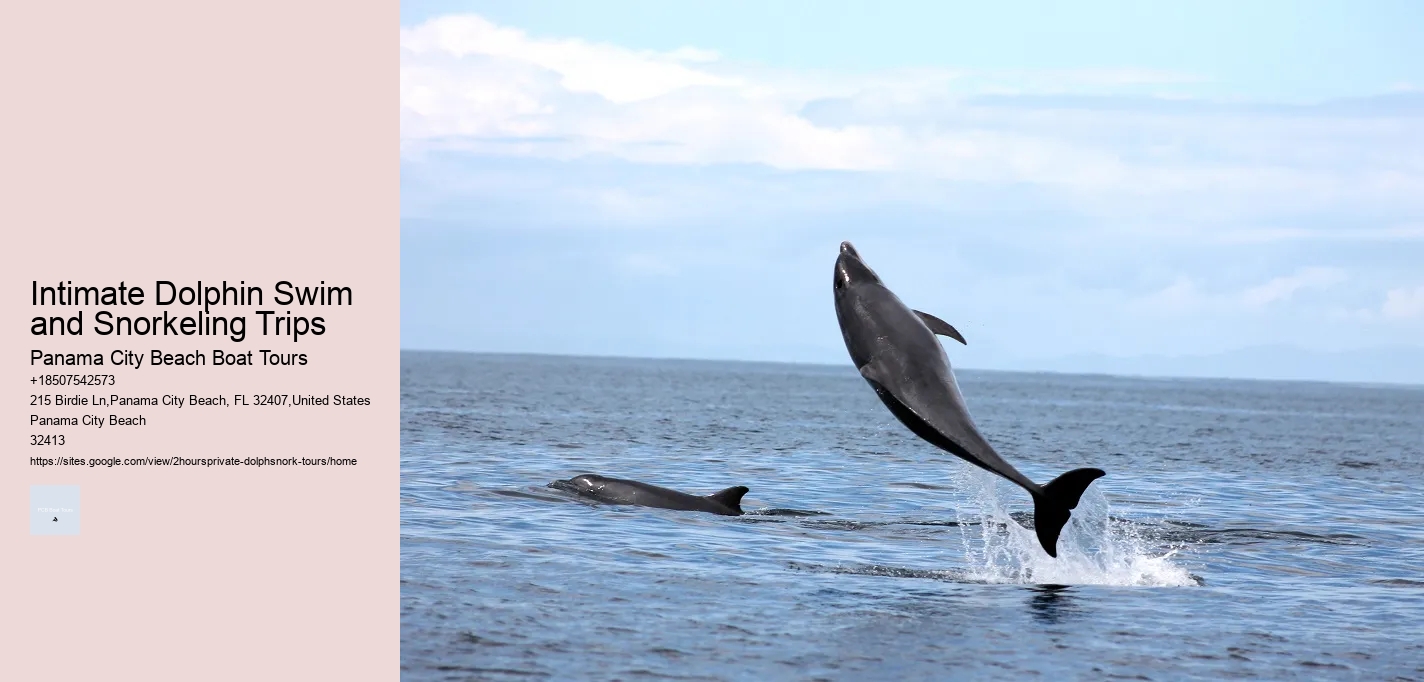 Intimate Dolphin Swim and Snorkeling Trips