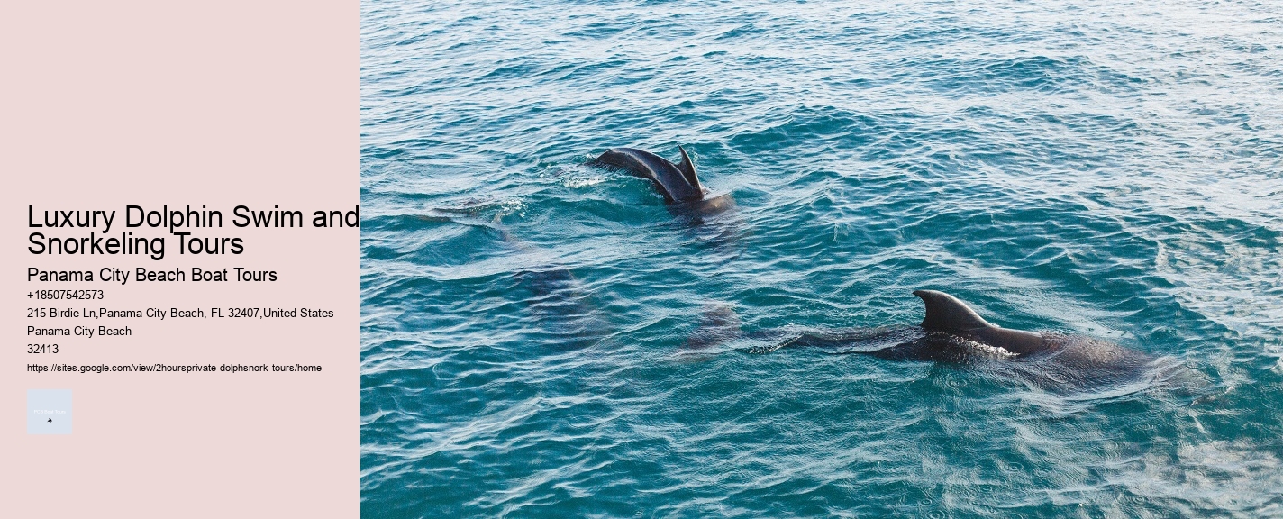 Luxury Dolphin Swim and Snorkeling Tours
