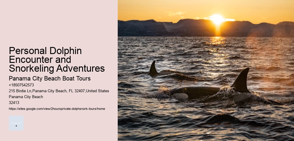 Why Shouldn't You Touch Dolphins