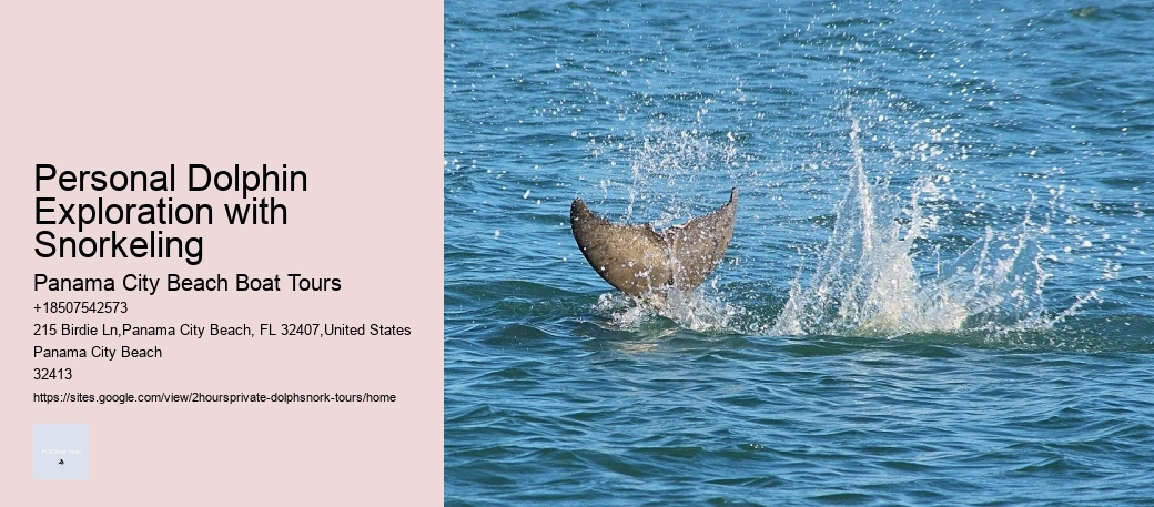 Personal Dolphin Exploration with Snorkeling