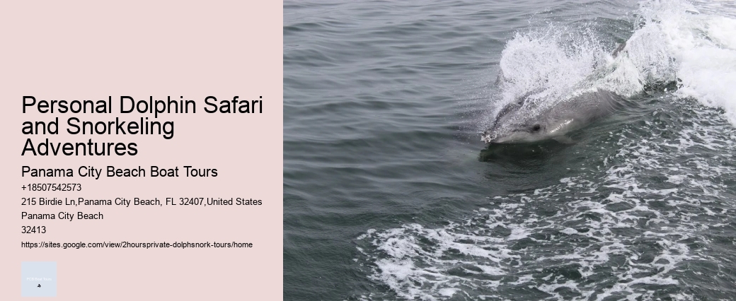 Dolphin Tours Punta Gorda