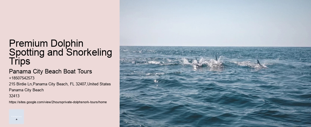 Can The Dolphin Pool Cleaner Get Wet