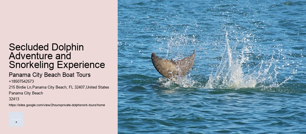 Secluded Dolphin Adventure and Snorkeling Experience