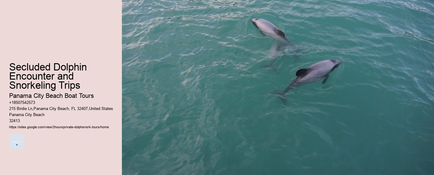 Secluded Dolphin Encounter and Snorkeling Trips