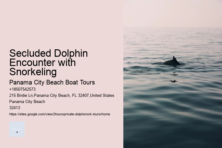 Dolphin Tours Tampa Area
