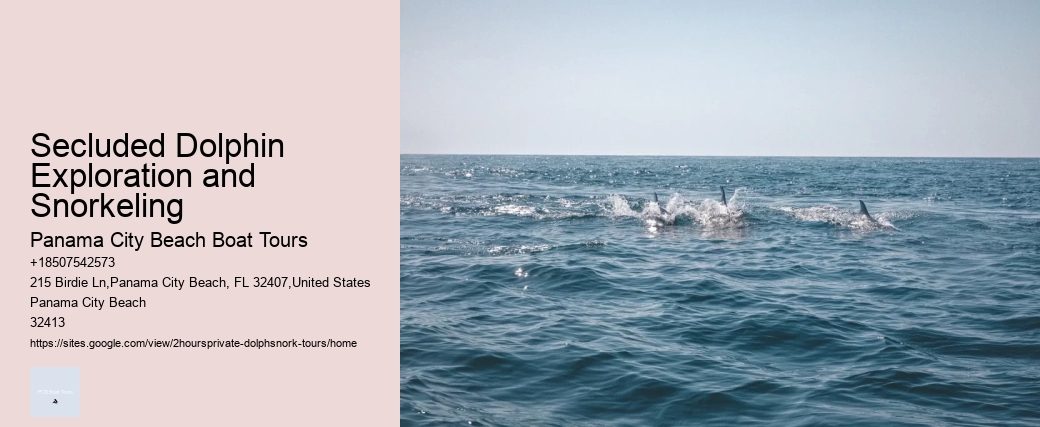 Secluded Dolphin Exploration and Snorkeling