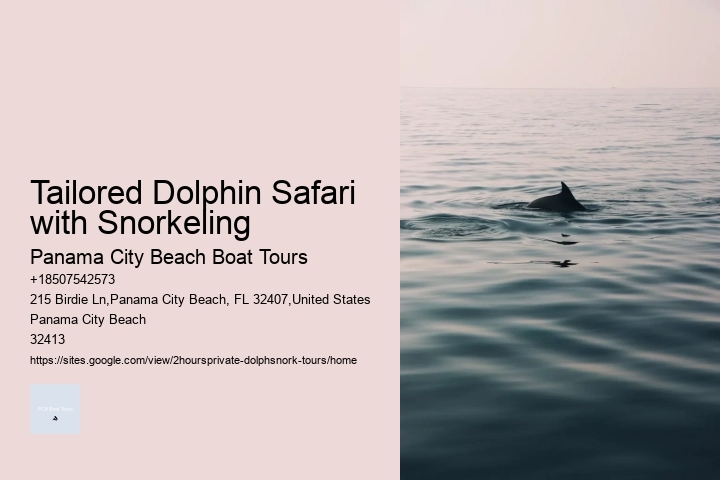 Tailored Dolphin Safari with Snorkeling