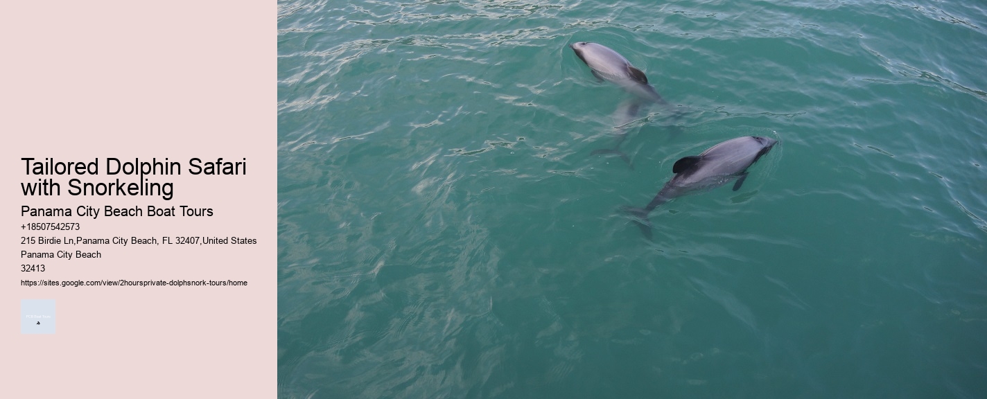 Tailored Dolphin Safari with Snorkeling